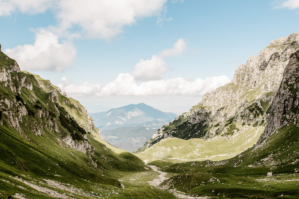 Professionelles Webdesign: Konzeption und Gestaltung für Unternehmenswebsites